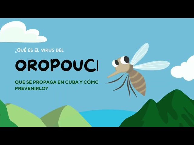 ¿Qué es el Oropouche y cómo prevenirlo?