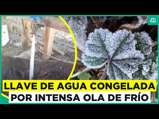 Ola de frío: Llave de agua totalmente congelada en siete tazas