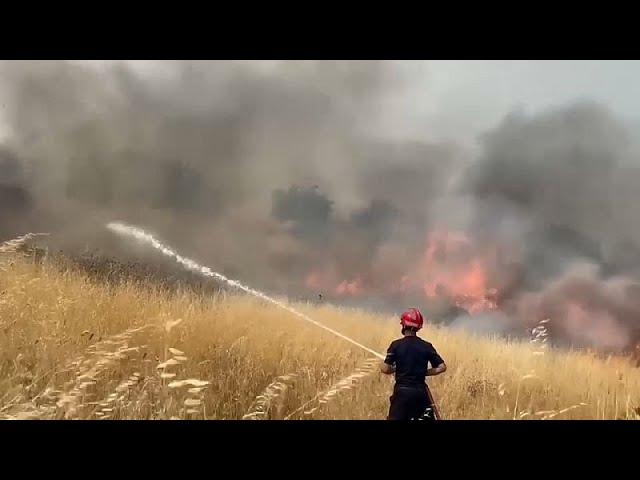 Albanien bittet EU um Hilfe bei Bekämpfung von Waldbränden im Süden des Landes