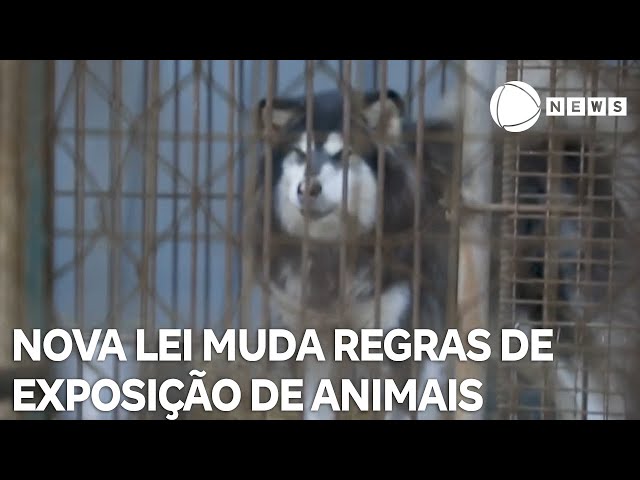 Nova lei muda regra para venda, criação e exposição de animais