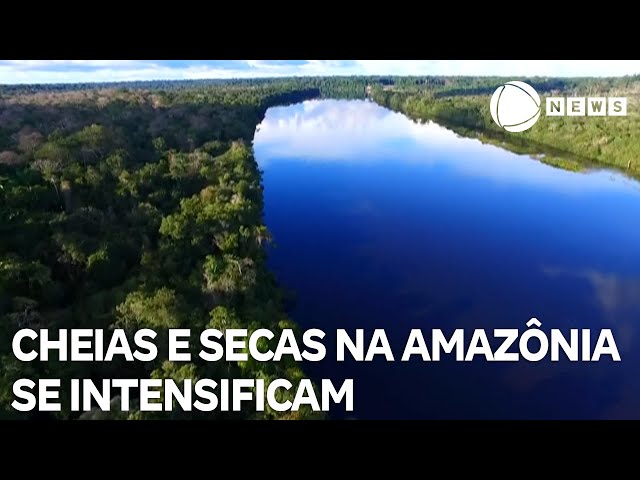 Cheias e secas severas se intensificam na Amazônia nos últimos anos