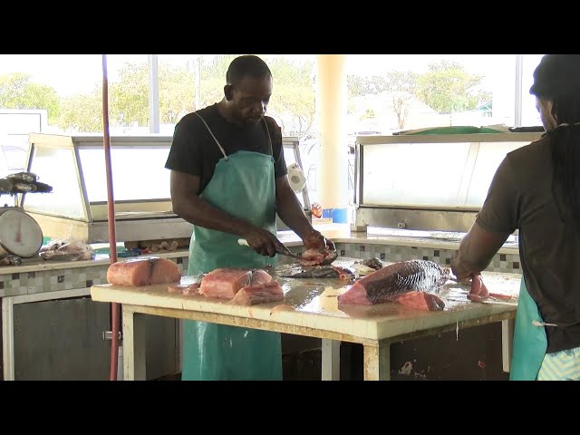 Fisheries officials dispel fish shortage rumours