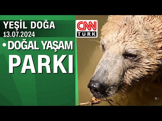 İzmir Doğal Yaşam Parkı sakinlerinin hikayesi - Yeşil Doğa 13.07.2024 Cumartesi