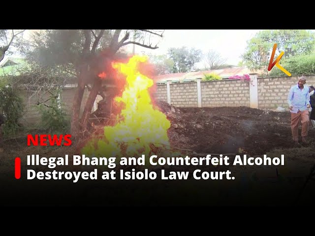 ⁣Illegal Bhang and Counterfeit Alcohol Destroyed at Isiolo Law Court Grounds.