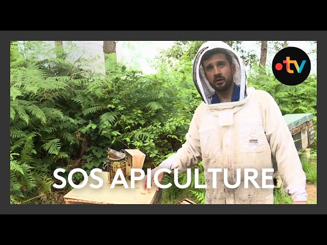 La filière apiculture en difficulté après les intempéries