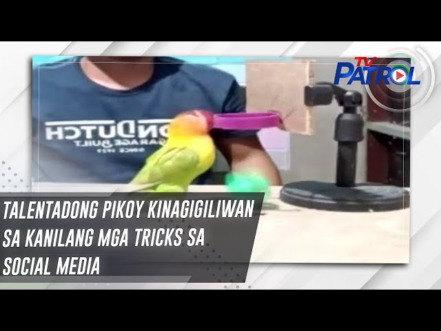 ⁣Talentadong Pikoy kinagigiliwan sa kanilang mga tricks sa social media | TV Patrol