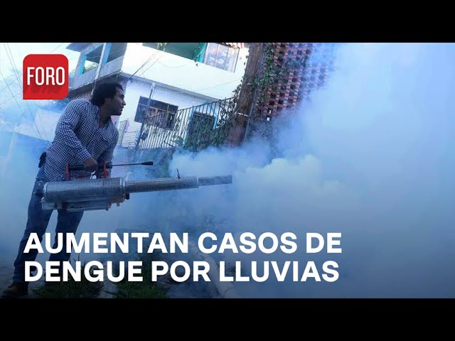 Se disparan casos de dengue en Yucatán por últimas lluvias - Las Noticias