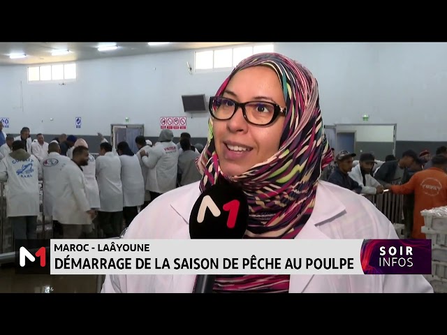 ⁣Laâyoune : Démarrage de la saison de pêche au poulpe