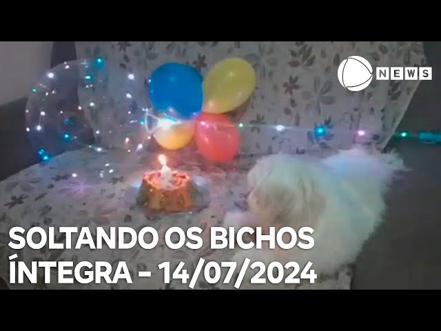 Soltando os Bichos - 14/07/2024