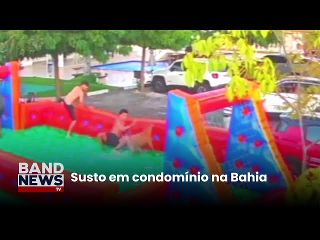 Pitbull escapa e ataca moradores de condomínio | BandNews TV