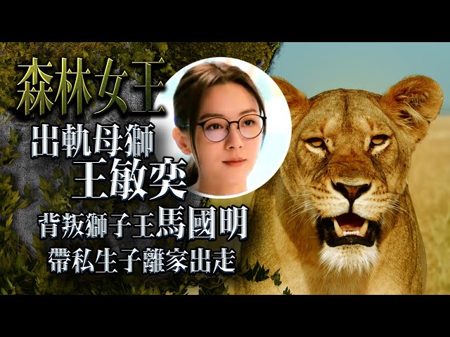 ⁣森林女王｜出軌母獅王敏奕背叛獅子王馬國明 帶私生子離家出走 (繁／簡字幕)｜《新聞女王》演員馬國明、譚俊彥、高海寧、何依婷、王敏奕粵語配音｜廣東話｜Serengeti 野生動物紀錄片