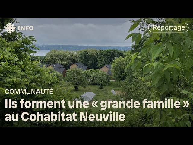 ⁣Cohabitat Neuville ﻿: malgré les obstacles, ils choisissent la vie en communauté