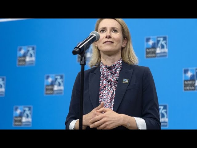 ⁣Estonia's Prime Minister Kaja Kallas steps down to become EU's foreign policy chief