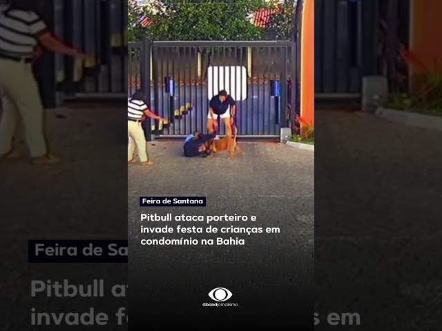 Pitbull ataca porteiro e invade festa de crianças em condomínio na Bahia