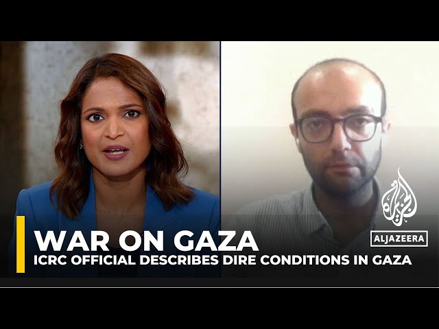 Senior Red Cross official describes dire conditions in Gaza, calls for unimpeded humanitarian access