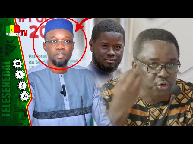 ⁣Réduction des pouvoirs du Président: Ali Sega avertit Diomaye" le jour où Sonko ne sera plus PM