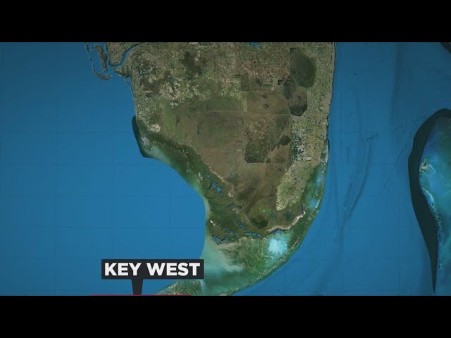 ⁣Spearfisherman bitten by shark off coast of Key West