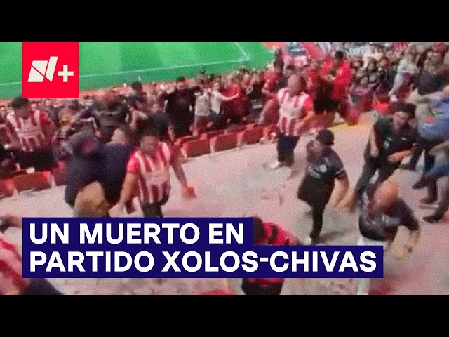 ¿Por qué hubo un muerto en el partido Xolos-Chivas? - N+