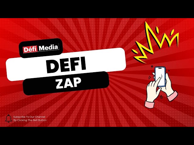 Défi Zap : une compilation des vidéos qui ont fait le buzz