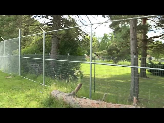 ⁣Lodi Township animal sanctuary caught in controversy regarding wolf-dog enclosure