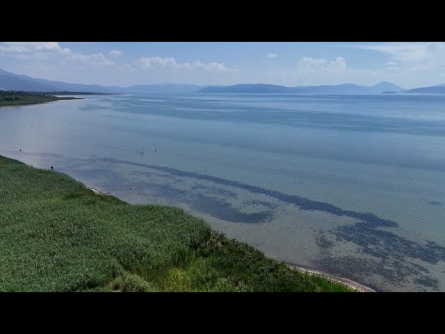 ⁣Balkan nations create committee to protect shared endangered lake