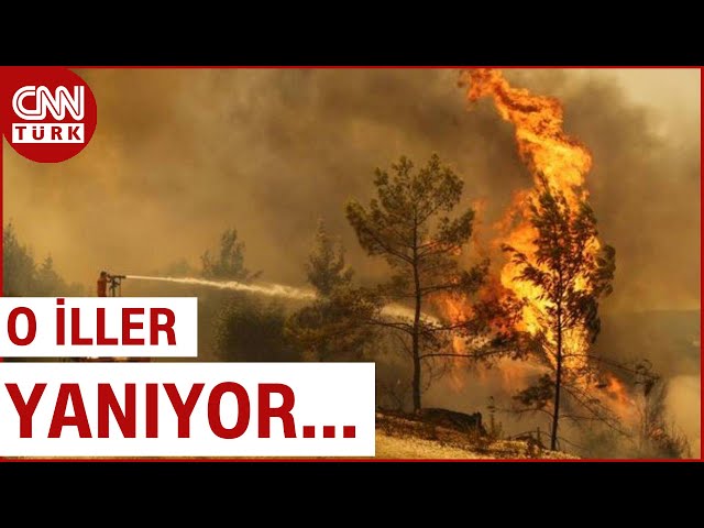 4 İlde Yangın Paniği! Ormanlık Alana Sıçrayan Yangınlarda Son Durum Ne?