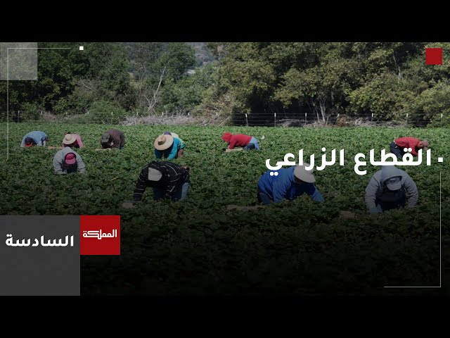 ⁣السادسة | وزيرا الزراعة والعمل يبحثان جملة الاختلالات المتعلقة بالعاملين في القطاع الزراعي