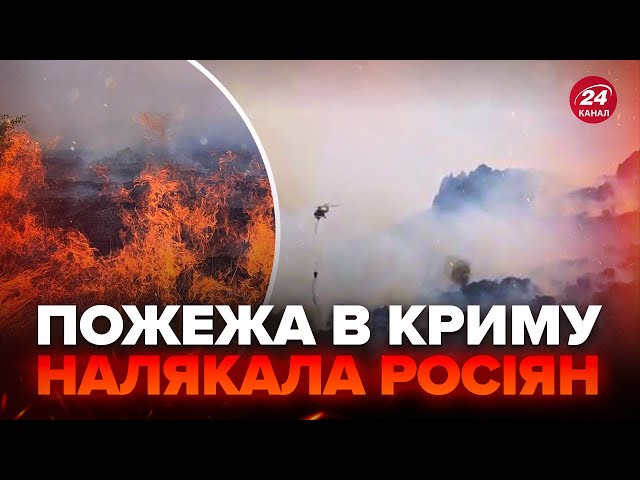 ⁣⚡️ У Коктебелі пожежа! Росіяни ПАНІКУЮТЬ. Іспанія відправить нові ТАНКИ. Таких у нас ще НЕ БУЛО