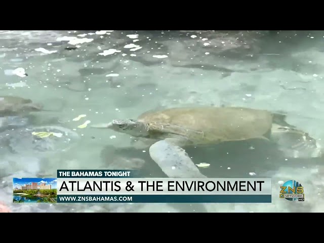 Atlantis & The Environment