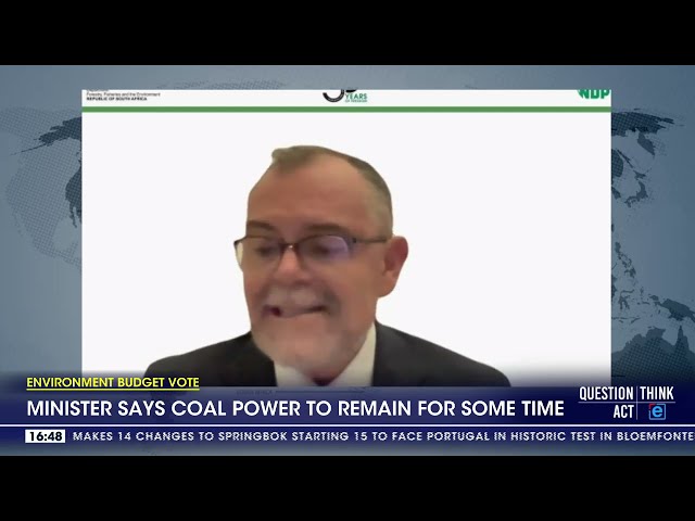 Minister says coal power to remain for some time