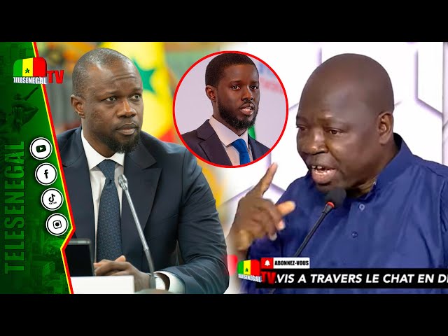 ⁣"Diomaye et SONKO ont fait perdre au Sénégal 12 milliards", Grosse révélation de Tamba Dan