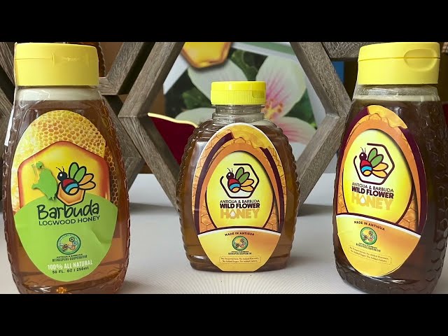 ANTIGUA HONEY PRODUCTS RECEIVE CRUCIAL GLOBAL EXPOSURE