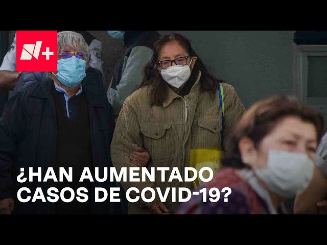 ¿Hay incremento de nuevos casos de Covid-19? Esto dice la Secretaría de Salud - En Punto