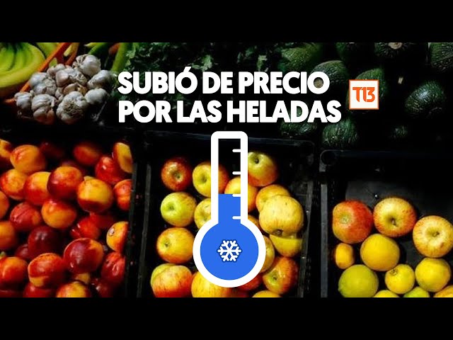 Las frutas y verduras que subirán de precio por las bajas temperaturas en Chile