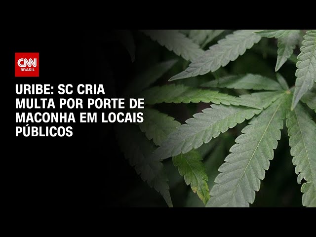 Uribe: SC cria multa por porte de maconha em locais públicos | BASTIDORES CNN