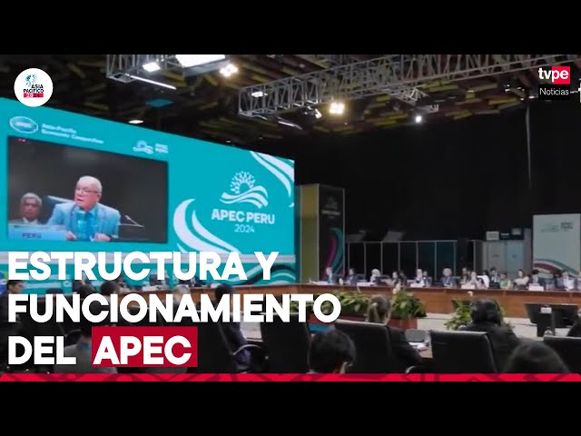 Estructura y funcionamiento del APEC |  "Asia Pacífico 2024"