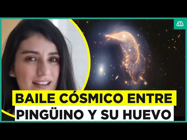 El espacio como nunca lo habíamos visto: Pingüino y su huevo son captados en el espacio