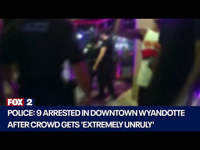 Several arrested after fights break out in Wyandotte