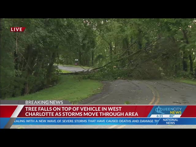 Tree falling on car closes road near Catawba River bridge