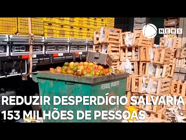 Reduzir o desperdício de alimentos pela metade salvaria 153 milhões de pessoas da fome