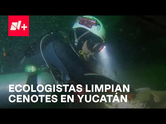 Cenotes en Yucatán: Buzos y ecologistas han limpiado al menos 20  - En Punto