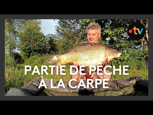 ⁣Jolis coins de pêche : pêche à la carpe au lac de Lavaud à Pressignac