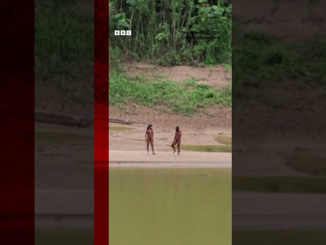 ⁣Rare sighting of uncontacted indigenous people in Peru. #Tribes #Peru #BBCNews