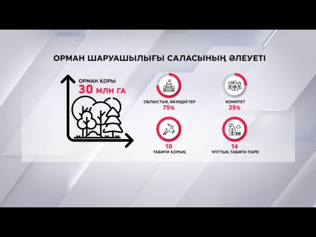 ⁣Елдегі орман алқабы 30 мың гектардан асады