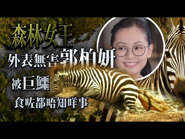 ⁣森林女王｜外表無害郭柏妍 被巨鱷食咗都唔知咩事 (繁／簡字幕)｜第四集精華｜《新聞女王》演員馬國明、譚俊彥、高海寧、何依婷、王敏奕廣東話粵語配音｜Serengeti 野生動物紀錄片｜TVB