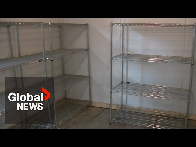 ⁣Toronto floods: North York Harvest Food Bank’s shelves left empty after power outage