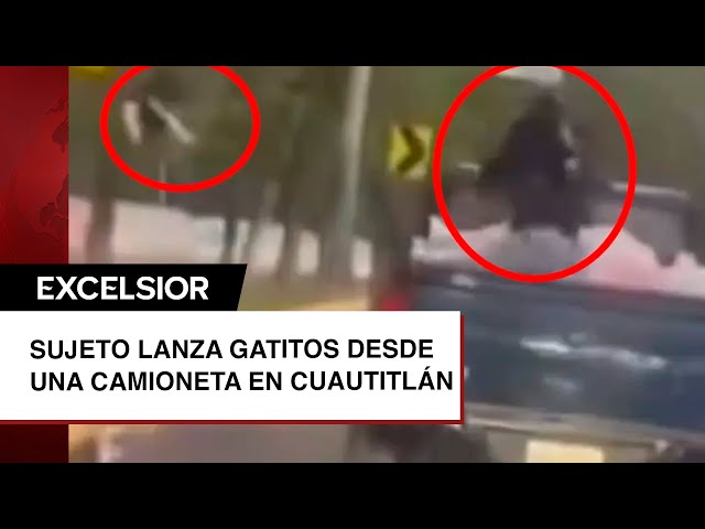 ¿Lo reconoces? Lanzó gatitos desde camioneta en Edomex