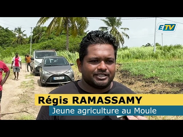Reportage choc : Pourquoi Régis RAMASSAMY subit-il des pressions pour son terrain en Guadeloupe ?