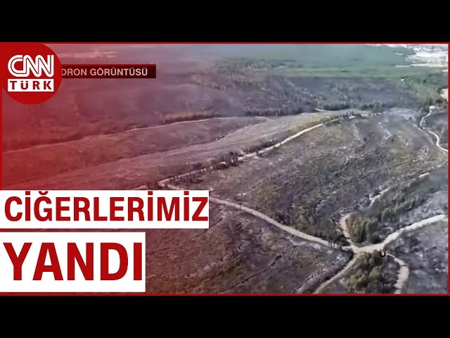 CNN TÜRK İzmir'de Yanan Ormanları Görüntülüyor!