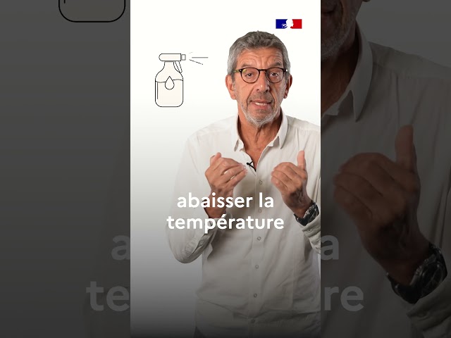 Vague de chaleur : les conseils du Dr Michel Cymes